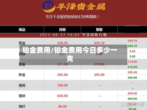 铂金费用/铂金费用今日多少一克-第1张图片