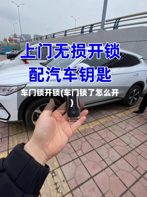 车门锁开锁(车门锁了怎么开)-第3张图片