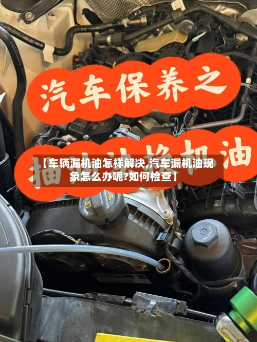 【车辆漏机油怎样解决,汽车漏机油现象怎么办呢?如何检查】-第1张图片