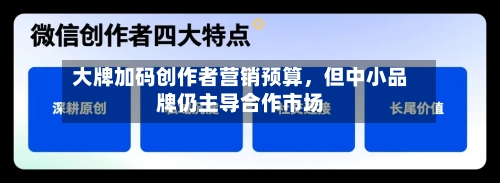 大牌加码创作者营销预算，但中小品牌仍主导合作市场-第1张图片