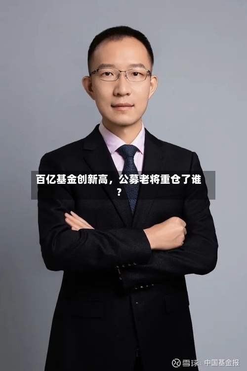 百亿基金创新高，公募老将重仓了谁？-第3张图片