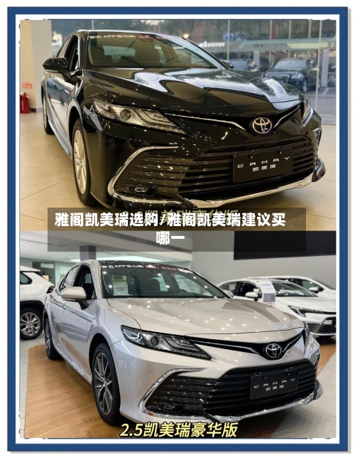 雅阁凯美瑞选购/雅阁凯美瑞建议买哪一-第1张图片