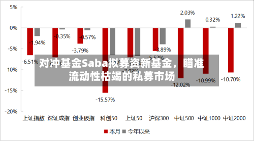 对冲基金Saba拟募资新基金，瞄准流动性枯竭的私募市场-第2张图片