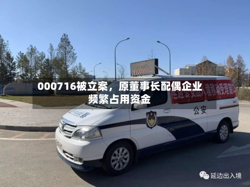 000716被立案，原董事长配偶企业频繁占用资金-第1张图片