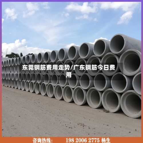 东莞钢筋费用走势/广东钢筋今日费用-第1张图片