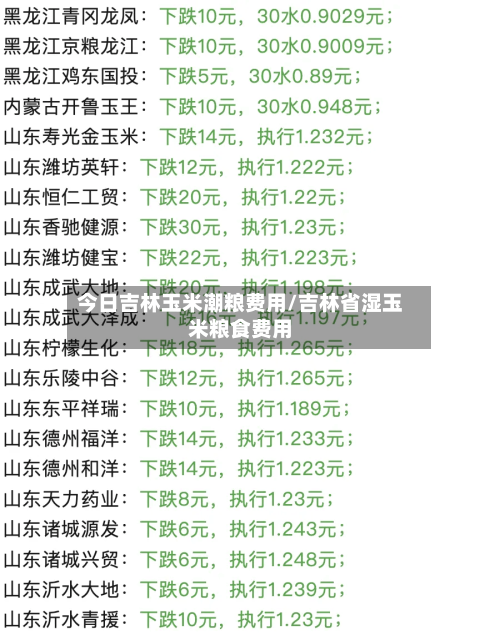 今日吉林玉米潮粮费用/吉林省湿玉米粮食费用-第2张图片
