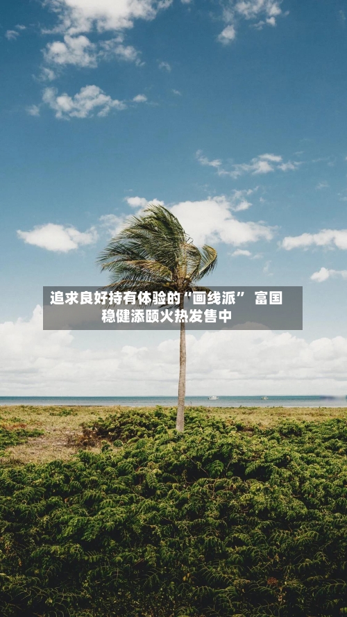 追求良好持有体验的“画线派	”  富国稳健添颐火热发售中-第2张图片