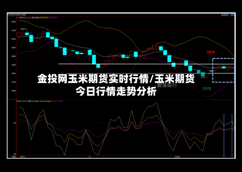 金投网玉米期货实时行情/玉米期货今日行情走势分析-第2张图片