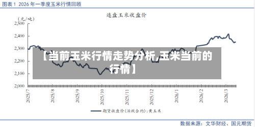 【当前玉米行情走势分析,玉米当前的行情】-第1张图片