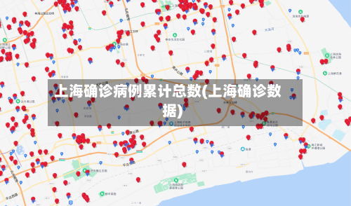 上海确诊病例累计总数(上海确诊数据)-第1张图片