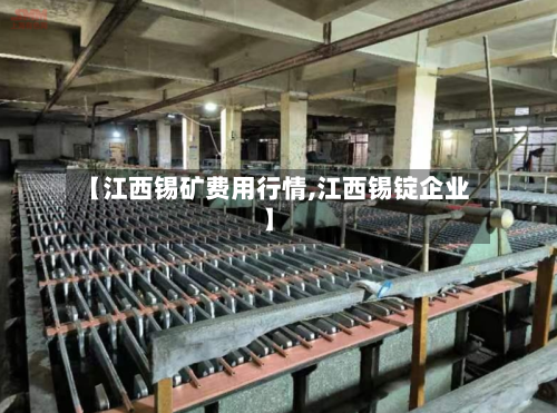 【江西锡矿费用行情,江西锡锭企业】-第1张图片