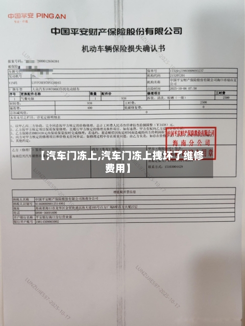【汽车门冻上,汽车门冻上拽坏了维修费用】-第2张图片