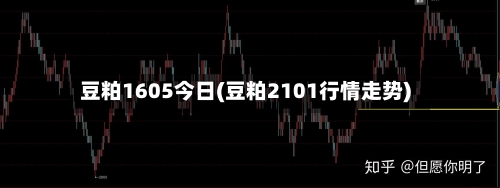 豆粕1605今日(豆粕2101行情走势)-第2张图片
