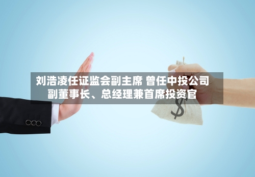 刘浩凌任证监会副主席 曾任中投公司副董事长、总经理兼首席投资官-第3张图片