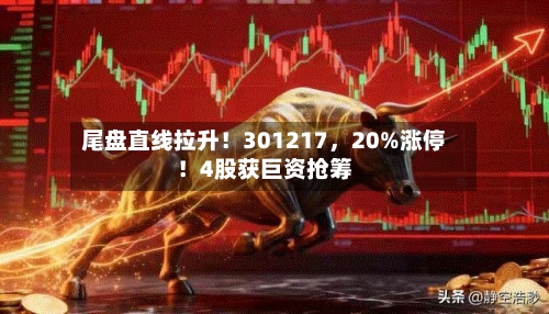 尾盘直线拉升！301217，20%涨停！4股获巨资抢筹-第1张图片