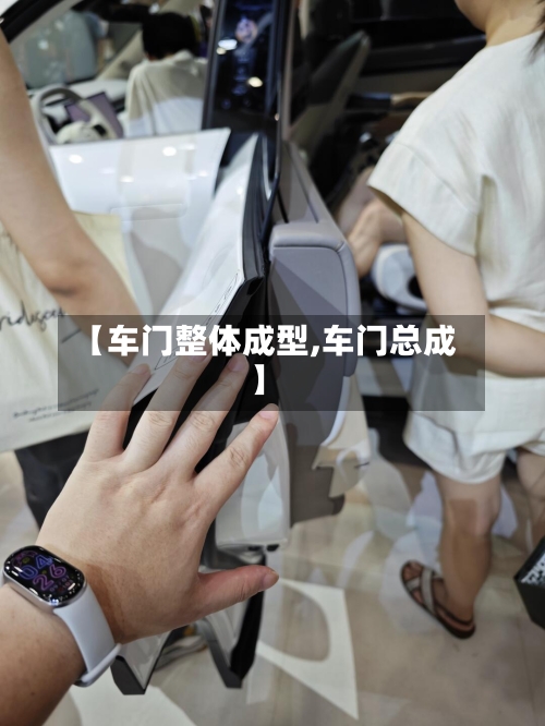 【车门整体成型,车门总成】-第3张图片