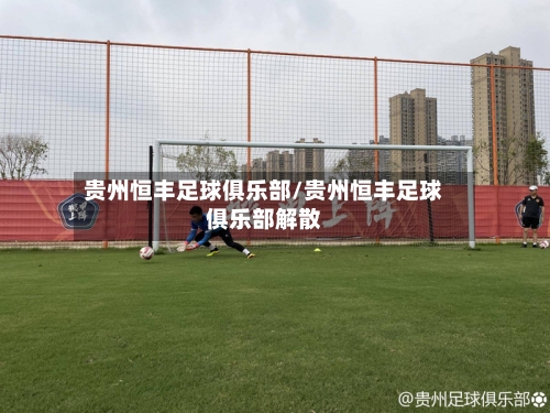 贵州恒丰足球俱乐部/贵州恒丰足球俱乐部解散-第3张图片