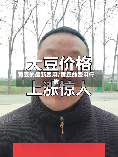 黄豆的最新费用/黄豆的费用行情-第2张图片