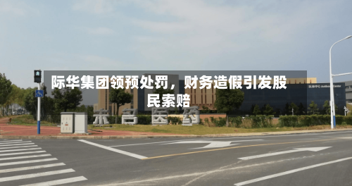 际华集团领预处罚，财务造假引发股民索赔-第3张图片