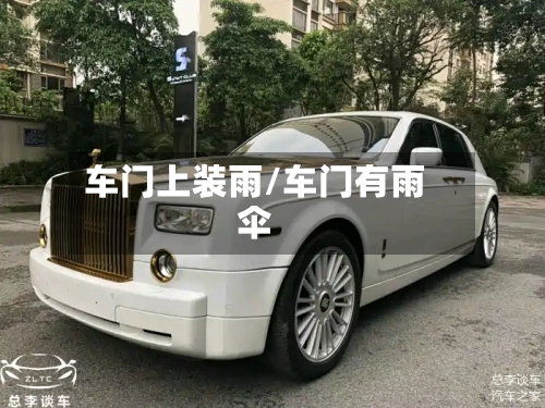 车门上装雨/车门有雨伞-第1张图片