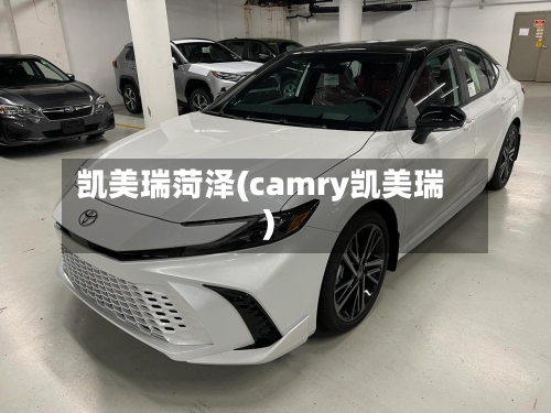 凯美瑞菏泽(camry凯美瑞)-第2张图片