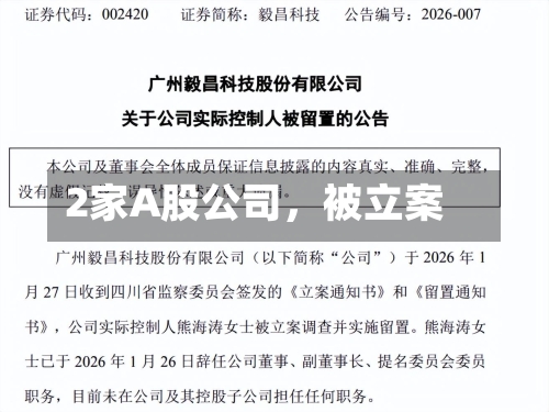 2家A股公司	，被立案-第3张图片