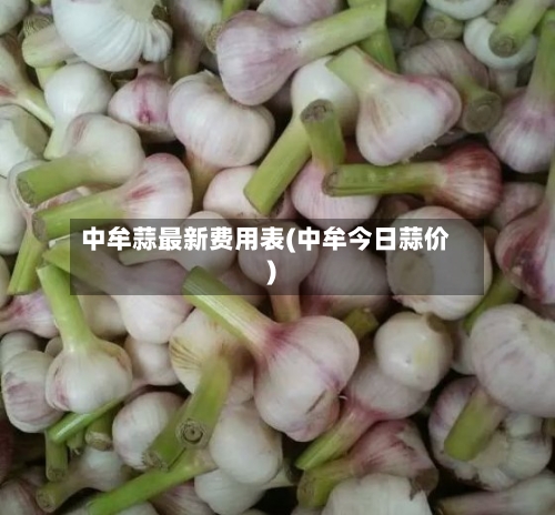 中牟蒜最新费用表(中牟今日蒜价)-第1张图片