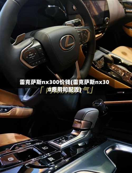 雷克萨斯nx300价钱(雷克萨斯nx300费用和配置)-第2张图片