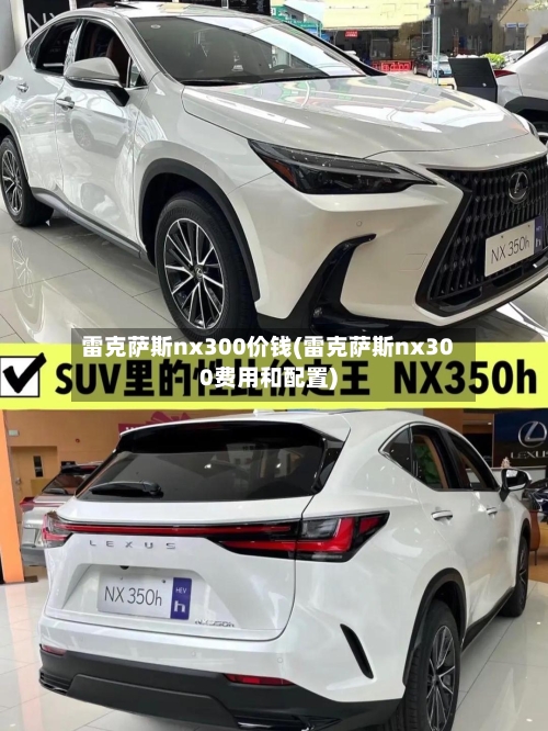 雷克萨斯nx300价钱(雷克萨斯nx300费用和配置)-第3张图片