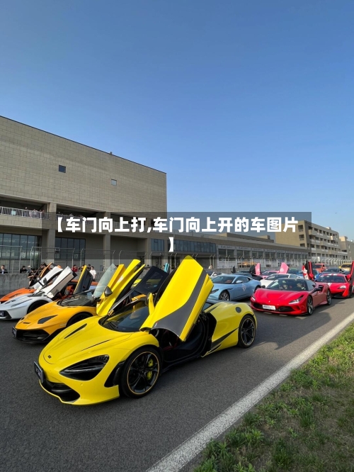 【车门向上打,车门向上开的车图片】-第1张图片