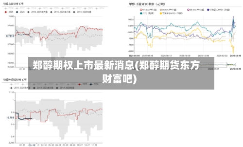 郑醇期权上市最新消息(郑醇期货东方财富吧)-第2张图片