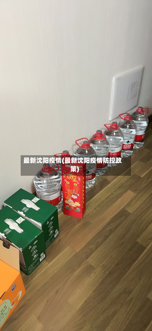 最新沈阳疫情(最新沈阳疫情防控政策)-第2张图片