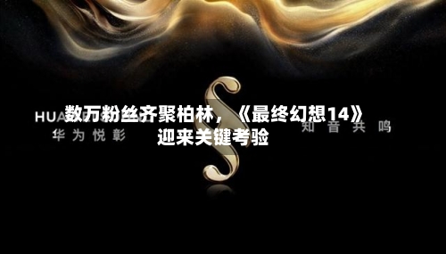 数万粉丝齐聚柏林	，《最终幻想14》迎来关键考验-第1张图片
