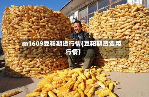 m1609豆粕期货行情(豆粕期货费用行情)-第2张图片