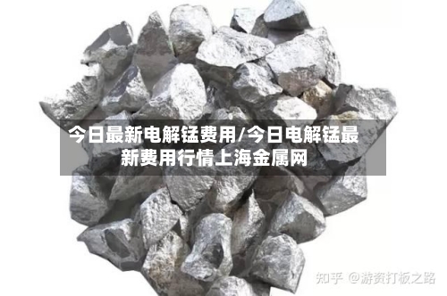 今日最新电解锰费用/今日电解锰最新费用行情上海金属网-第2张图片