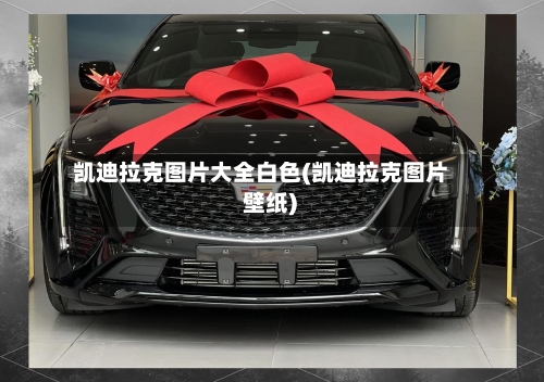凯迪拉克图片大全白色(凯迪拉克图片 壁纸)-第2张图片