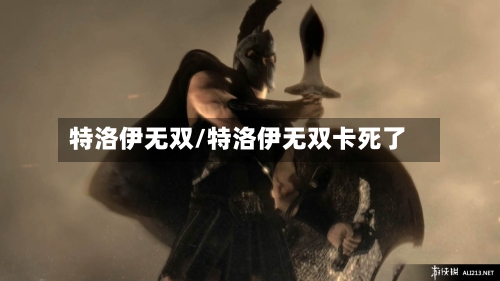 特洛伊无双/特洛伊无双卡死了-第2张图片