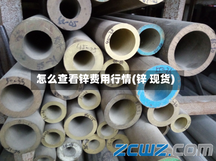 怎么查看锌费用行情(锌 现货)-第2张图片