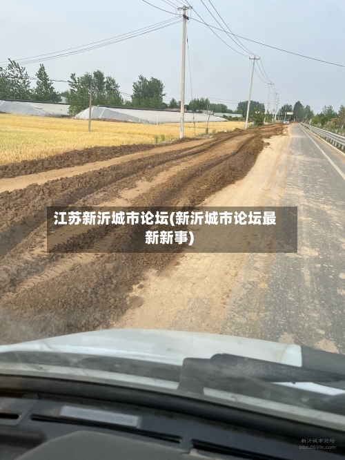 江苏新沂城市论坛(新沂城市论坛最新新事)-第3张图片