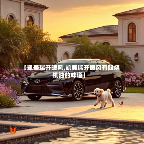 【凯美瑞开暖风,凯美瑞开暖风有股烧机油的味道】-第1张图片