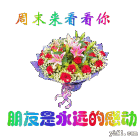 羟乙基二异丙醇胺商品报价动态（2026-05-02）-第1张图片