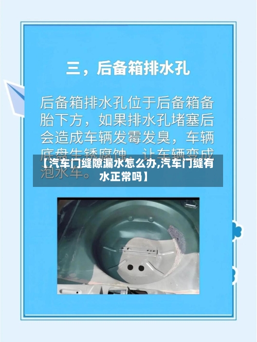 【汽车门缝隙漏水怎么办,汽车门缝有水正常吗】-第1张图片