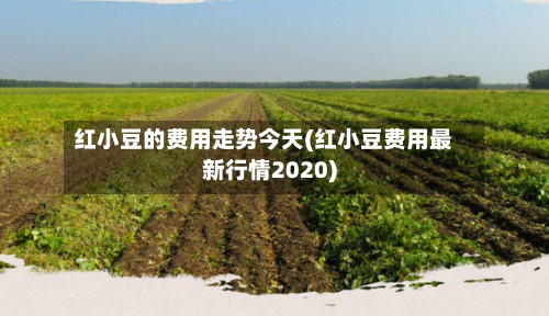 红小豆的费用走势今天(红小豆费用最新行情2020)-第2张图片