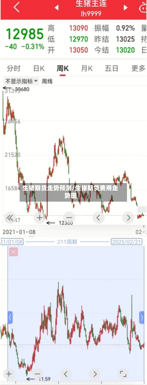 生猪期货走势预测/生猪期货费用走势图-第2张图片
