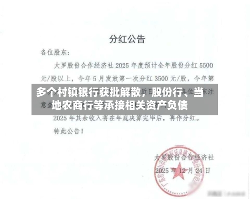 多个村镇银行获批解散	，股份行、当地农商行等承接相关资产负债-第2张图片