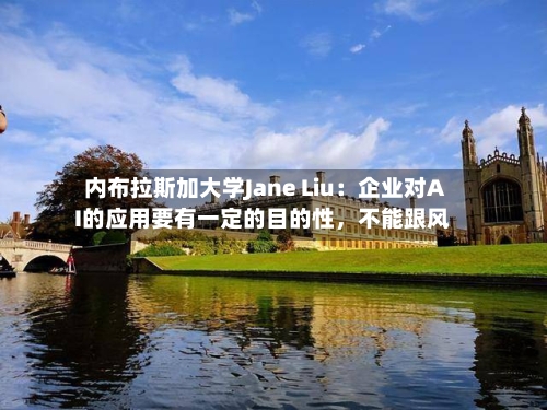 内布拉斯加大学Jane Liu：企业对AI的应用要有一定的目的性	，不能跟风-第2张图片