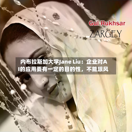内布拉斯加大学Jane Liu：企业对AI的应用要有一定的目的性，不能跟风-第1张图片