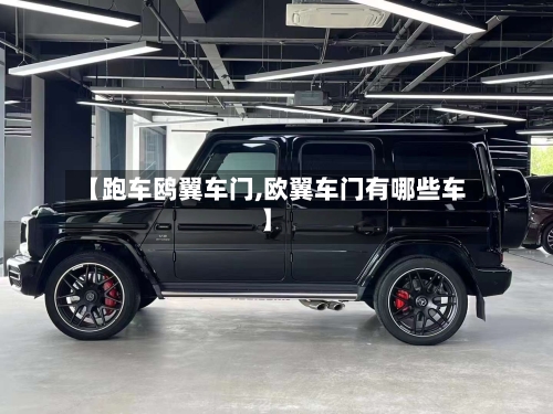 【跑车鸥翼车门,欧翼车门有哪些车】-第1张图片