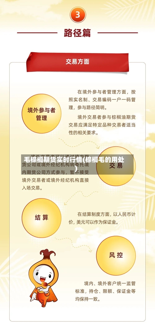 毛棕榈期货实时行情(棕榈毛的用处)-第1张图片