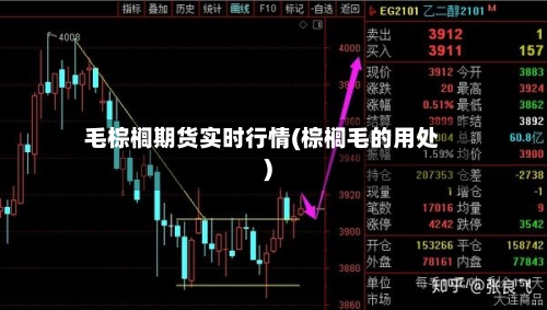 毛棕榈期货实时行情(棕榈毛的用处)-第2张图片
